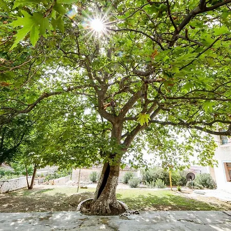 Leon - Old - 6 People *