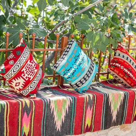 Leon - Old - 6 People